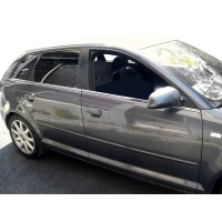 Нижні молдинги скла (нерж) для Audi A3 2004-2012 рр.