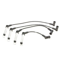 Провід запалювання Ford Fiesta V 1.3 01-08/Focus I 1.6 99-05 (к-кт)