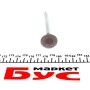 Клапан (впуск) Citroen Berlingo/Peugeot Expert 1.6HDi 05- (25.6x5.5x96.4 мм)