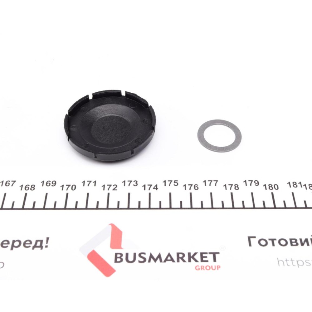 Ролик генератора VW Crafter 2.5TDI 06-13 (паразитний) (75x34)