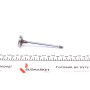 Клапан (впуск) Citroen Jumpy/Peugeot Expert 2.0HDi 16V 00- (30x6x106.2) (хромування)