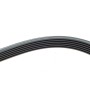 Ремінь генератора VW LT 2.8TDI 96KW/Ford Transit 2.0DI 00-14 (6PK1642)