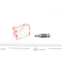Натяжник ланцюга ГРМ MB (W176/246/C205/S205/X156) 08-