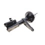 Амортизатор (передній) Land Rover Freelander 00-06 (L)