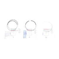 Кільця поршневі Citroen C2/C3/C4/Peugeot 206/207/307 1.4 03- (75.00mm/STD) (1.2-1.5-2.5)