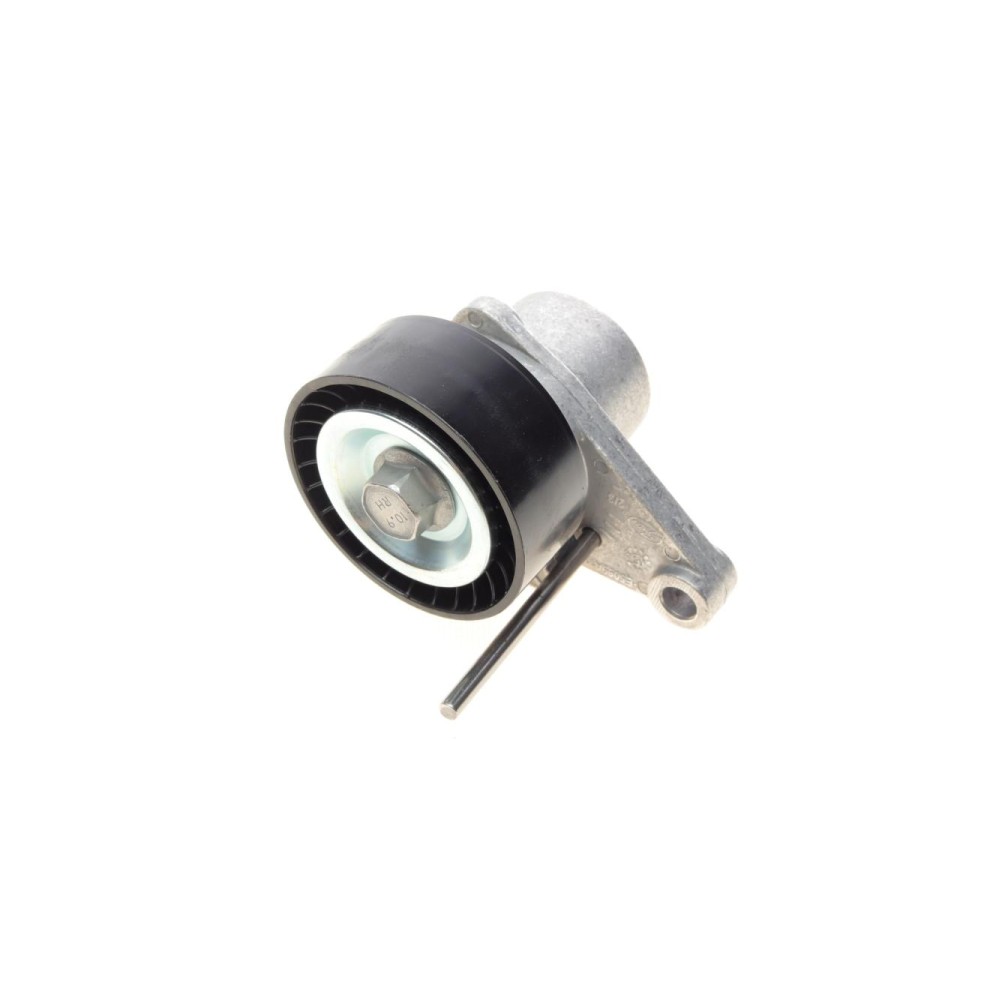 Натяжник ременя генератора Citroen C2/C3/C4/Peugeot 207/307 1.1-1.6 00-