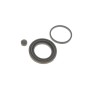 Ремкомплект супорта (заднього) Hyundai Terracan 01-06 (d=43mm) (+поршень)