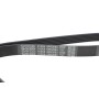Ремінь генератора VW T4 2.4D/2.5 90-03 (PS)