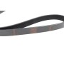 Ремінь генератора Renault Kangoo/Logan/Scenic/Talisman 1.4/1.5 dCi/1.6 03-/Mazda 3/CX-3 1.5/1.8D 15-