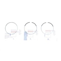 Кільця поршневі BMW 3 (E90)/5(E60/F10) 2.0d (N47 D20) 04-10 (84.00mm/STD) (1.75-1.75-2)