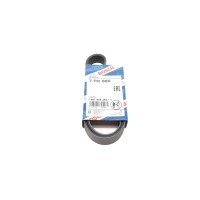 Ремінь генератора Renault Clio 1.2 16V 05-14 (7PK880)