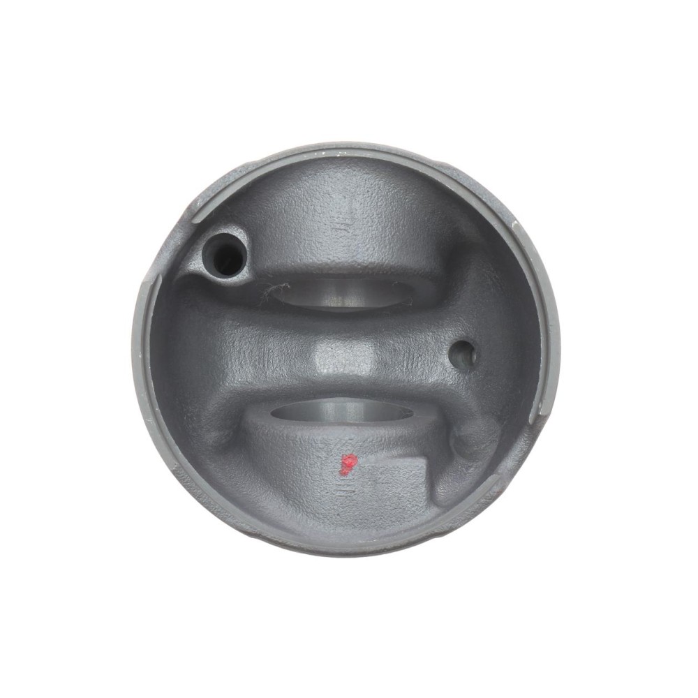 Поршень BMW 5 (E60) 05-10/X5 (E70) 3.0d (M57) 06-10 (84.00mm/STD)