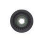 Ролик генератора Ford Focus/Fiesta/C-Max 1.0-1.6 04- (паразитний) (73x29)