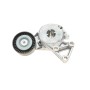 Натяжник ременя генератора VW T5 2.0 03-/Caddy III 1.6/2.0 BiFuel/EcoFuel 04-15 (70x24)