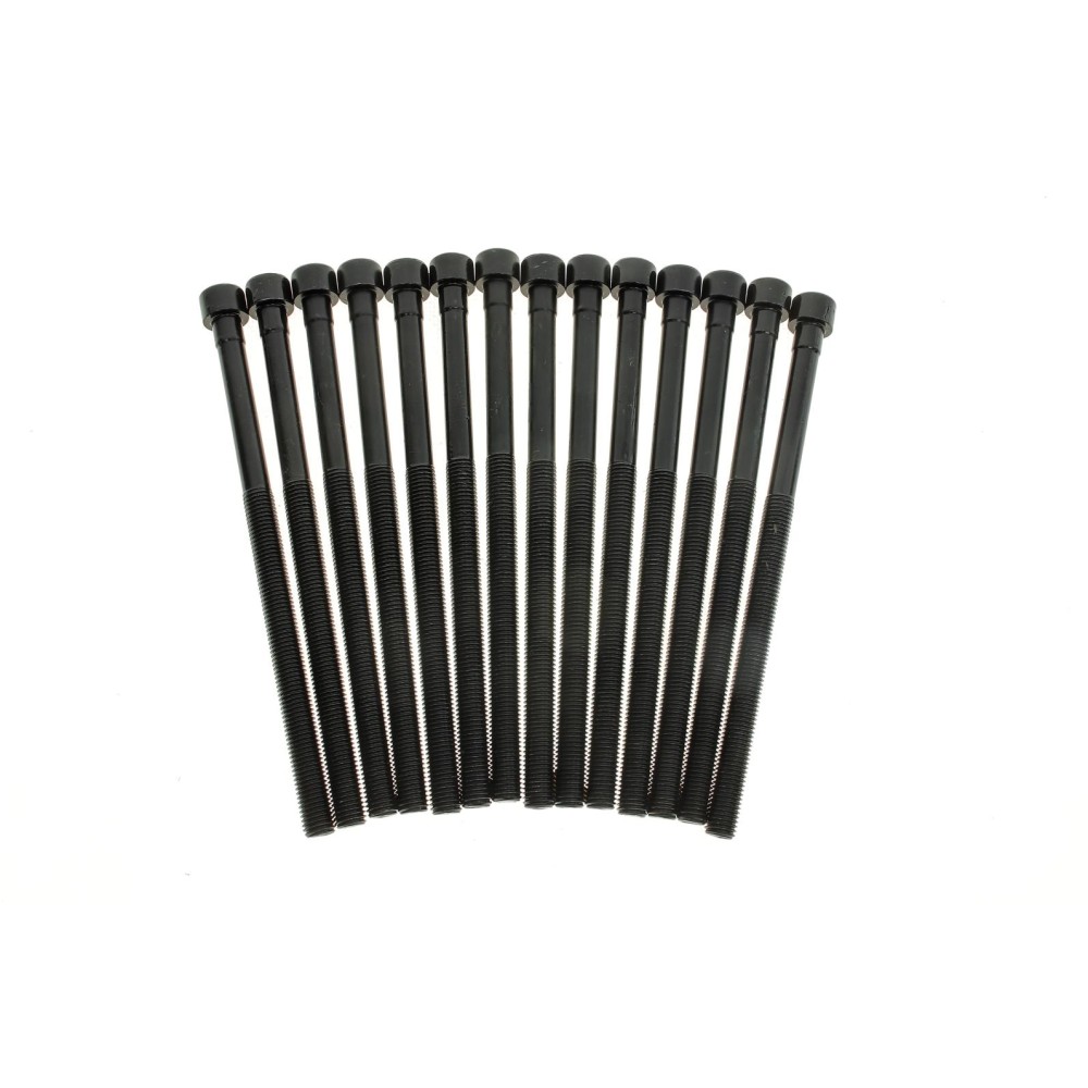 Комплект болтів гбц (14шт) BMW 3 (F30/F80)/5 (G30/F90)/X3 (G01/F97) 15- B46/B48