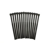 Комплект болтів гбц (14шт) BMW 3 (F30/F80)/5 (G30/F90)/X3 (G01/F97) 15- B46/B48
