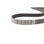 Комплект ременя генератора Audi Q2/A3/VW Tiguan 2.0 12-
