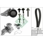 Комплект ГРМ + помпа Ford Focus 98-12/Fiesta 1.4/1.6 96-08 (22x117z)