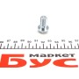 Болт Banjo (банжо) M10x1mm (13x27,2)