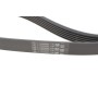 Комплект ременя генератора VW T5 1.9 TDI 03-09/Audi A3 1.9 TDI 00-03 (6PK1120)