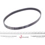 Ремінь генератора Opel Movano 2.8DTI 98-01/VW Crafter 30-35 2.0TDI 11-