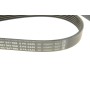 Ремінь генератора MB E-class (W211) 5.5 02-08 (M113)/Land Rover Range Rover 5.0SCV8 13- (6PK2445)