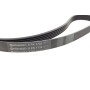 Комплект ременя генератора Audi A1/A3/Seat Ibiza/Skoda Octavia 1.4TSI/1.6FSI 02-