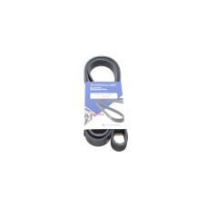 Ремінь генератора VW LT 2.8TDI 96KW/Ford Transit 2.0DI 00-14 (6PK1642)