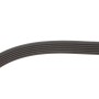 Комплект ременя генератора Renault Clio/Kangoo/Megane/Scenic 1.5dCi 01- (6PK1198)