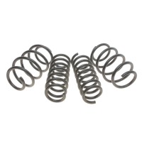 Комплект пружин (Pro-Kit) BMW X3 (G01/F97) 2.0 (B47/B48)/X3 (G01) 2.0 (B47)/X4 (G02/F98) 17- (4 шт.)