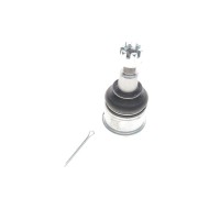 Опора кульова (передня/знизу) Honda Accord VII  2.0/2.2D/2.4 03-08