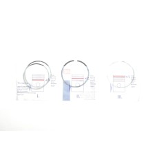 Кільця поршневі Opel Astra/Vectra 1.6i 00- (79.00mm/STD) (1.2-1.2-2)