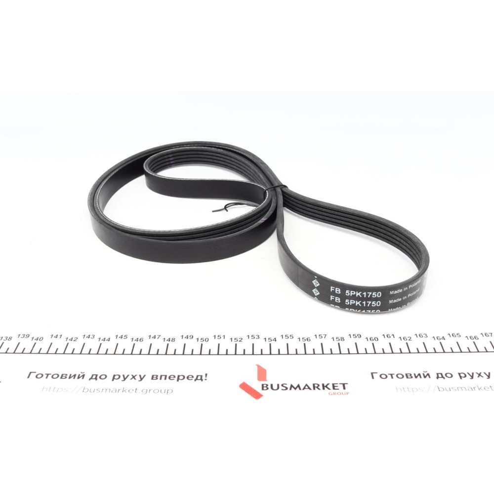 Комплект ременя генератора Renault Megane/Scenic 00-09, (5PK1750)