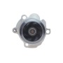 Комплект ГРМ + помпа Skoda Fabia/VW Passat/Golf 1.9TDI 00-