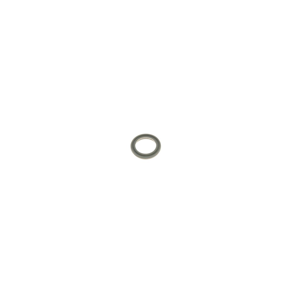 Ремкомплект супорта (заднього) Opel Astra G/Zafira 98-05 (d=38mm) (Bosch) (+поршень)