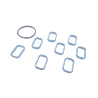 Комплект прокладок колектора впускного Ford Transit 2.0/2.4 DI 00-06