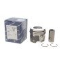 Поршень BMW X5 (E70/F15/F85) 3.0d (N57) 10-18 (84.25mm/+0.25)