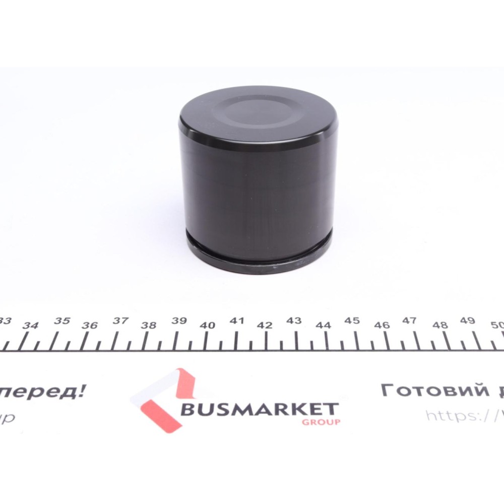 Поршень супорта (переднього) VW Passat 08-14 (60x53.5mm) (TRW)