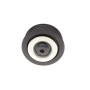 Ролик генератора Hyundai Accent/Kia Rio 1.1D-1.7D 05- (паразитний) (60х22)