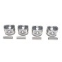 Поршень Dacia Duster/Logan/Sandero/Renault Clio/Kangoo/Megane 1.6 16V 98- (79.50mm/STD) (к-кт 4 шт)
