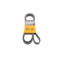 Ремінь генератора Opel Omega B 2.5DTI 01-03/Land Rover Range Rover 3.0D 02-12 (5PK2020)