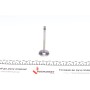 Клапан (впуск) VW Caddy 1.9SDI 95-04 (36x7x96.5) (азотований)