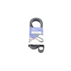 Ремінь генератора VW LT 2.8TDI 96KW/Ford Transit 2.0DI 00-14 (6PK1637)