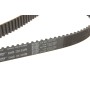Комплект ГРМ Audi 80/A4/A6/A8 2.6/2.8i 91-01 (25x239z)