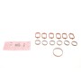 Прокладка колектора впускного BMW/Opel 2.5/3.0D M57 (к-кт)