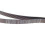 Ремінь генератора MB C-class (W202) 2.0 95-01 (6PK1863)