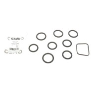 Прокладка колектора впускного Citroen Berlingo/Peugeot Expert 1.6 HDI 05- (к-кт)