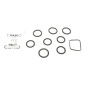 Прокладка колектора впускного Citroen Berlingo/Peugeot Expert 1.6 HDI 05- (к-кт)