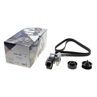 Комплект ременя генератора Citroen Jumpy/Fiat Ducato/Peugeot Boxer 2.2HDi 06- (6PK1670)