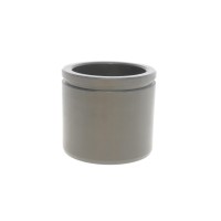 Поршень супорта (переднього) VW Passat 08-14 (60x53.5mm) (TRW)
